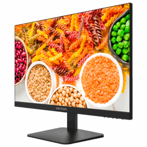 DS-D5024F2-1V2S