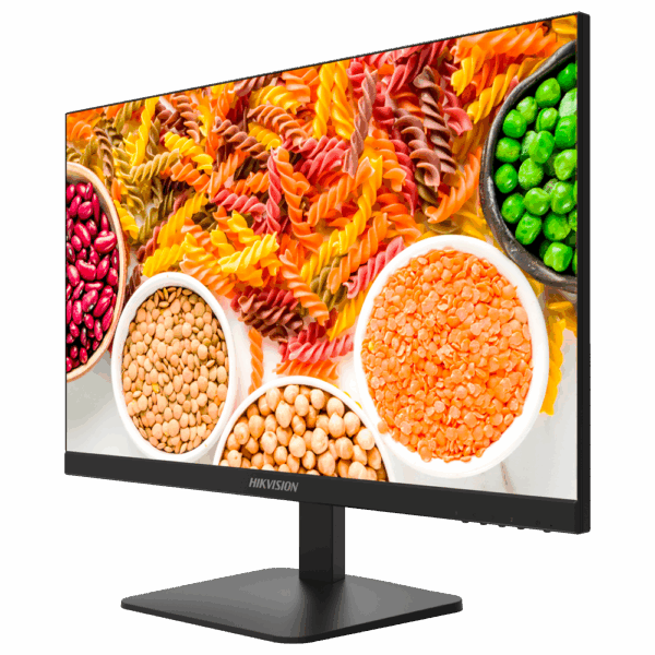 DS-D5024F2-1V2S