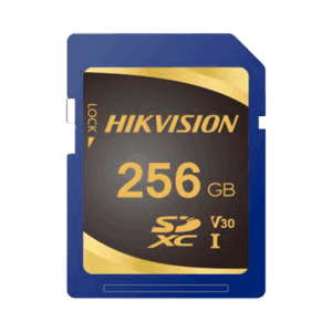 HS-SD-P10STD-256G