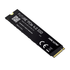 HS-SSD-FUTURE-2048G