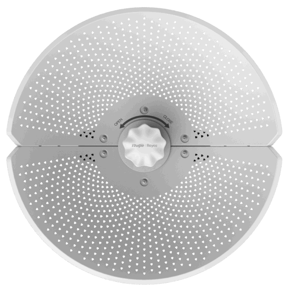 RG-AirMetro460F
