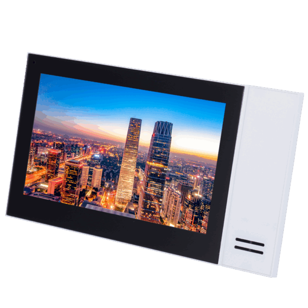 XS-V2421M-IP-POE