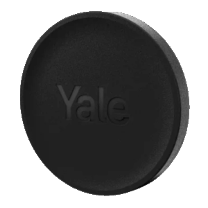 YALE-DOT-B