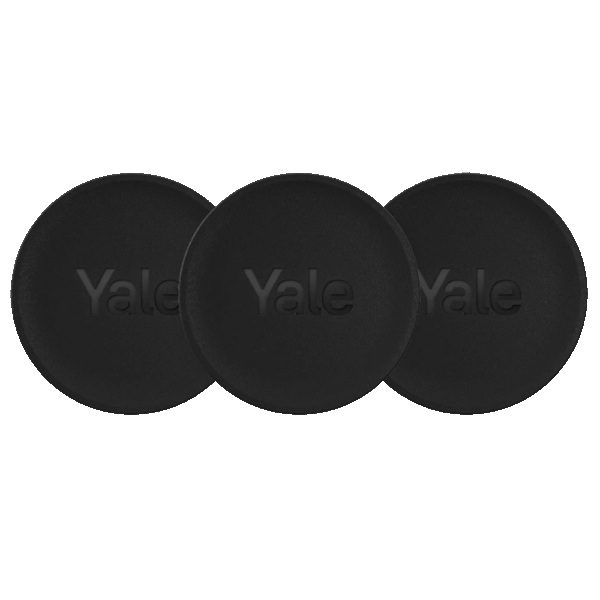 YALE-DOT-B - Imagen 2