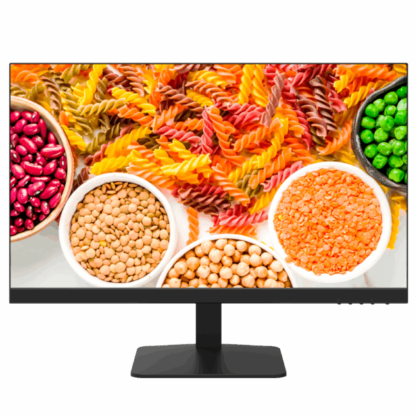 DS-D5024F2-1V2S - Imagen 2